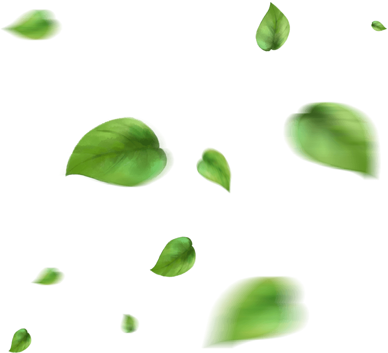 narmadeshwar-global.in